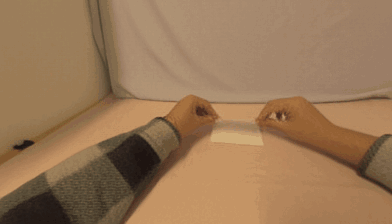 Action Transfer dexwm3