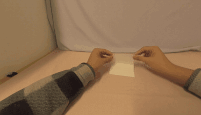 Action Transfer peva3