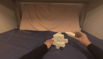 Action Transfer Ref1