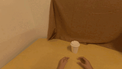 Action Transfer Ref3