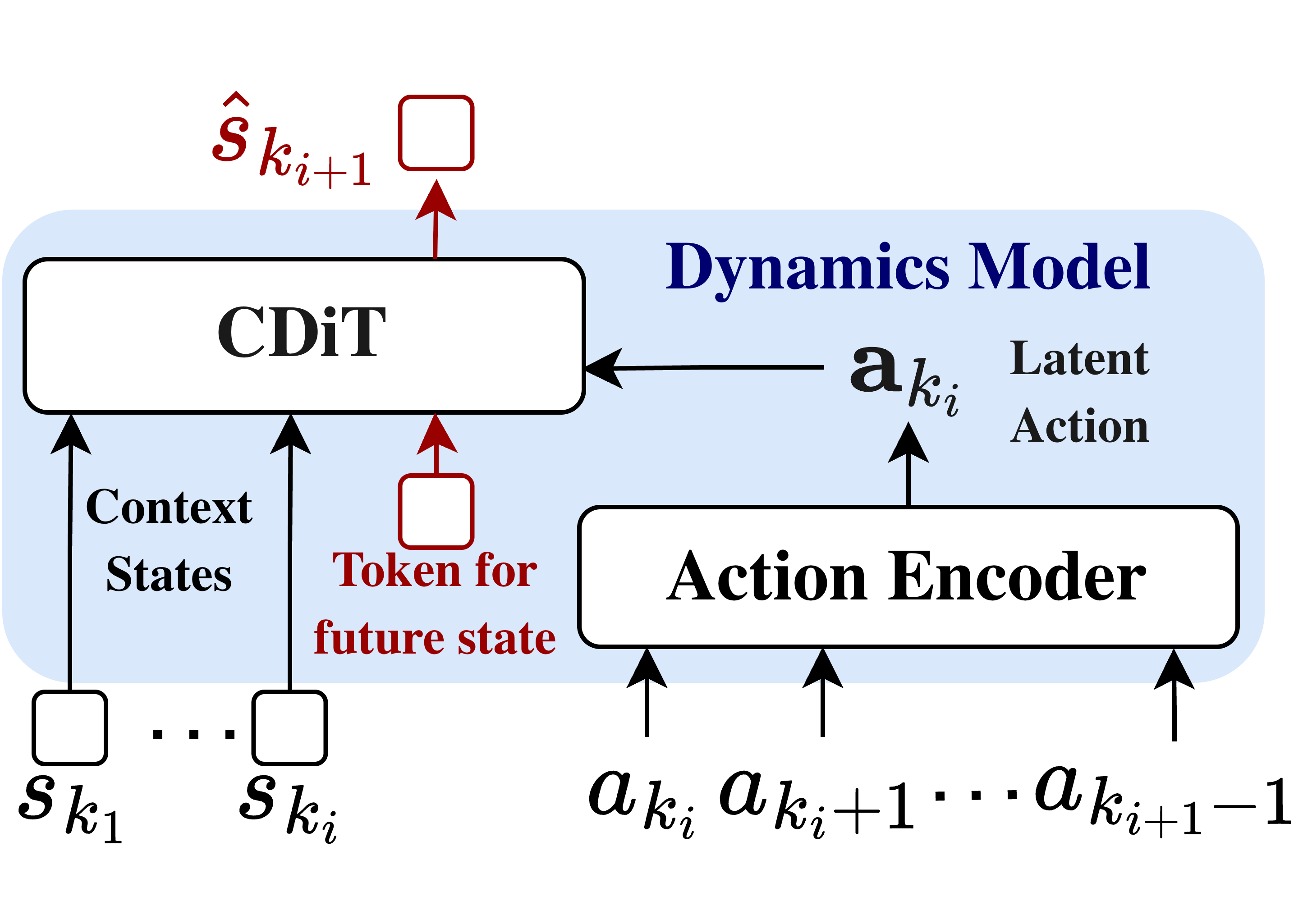 WorldDP dynamics model